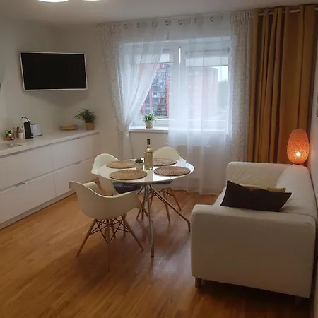 Scandinavian Design Spacious Flat Vilnius